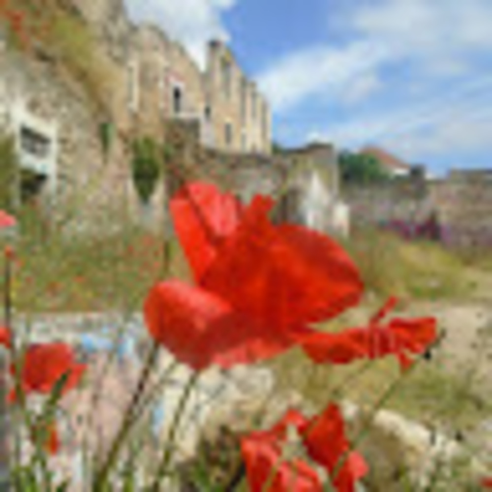 Meet your Posher, Sofia